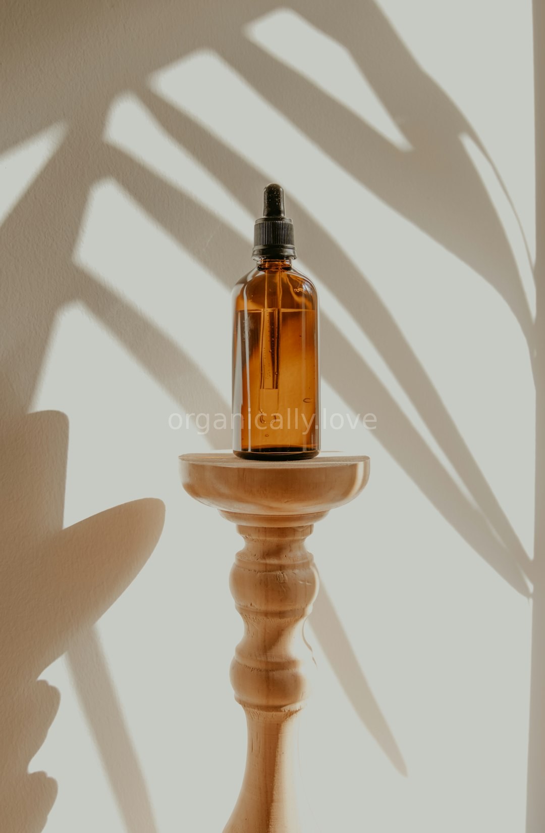 Botanical background