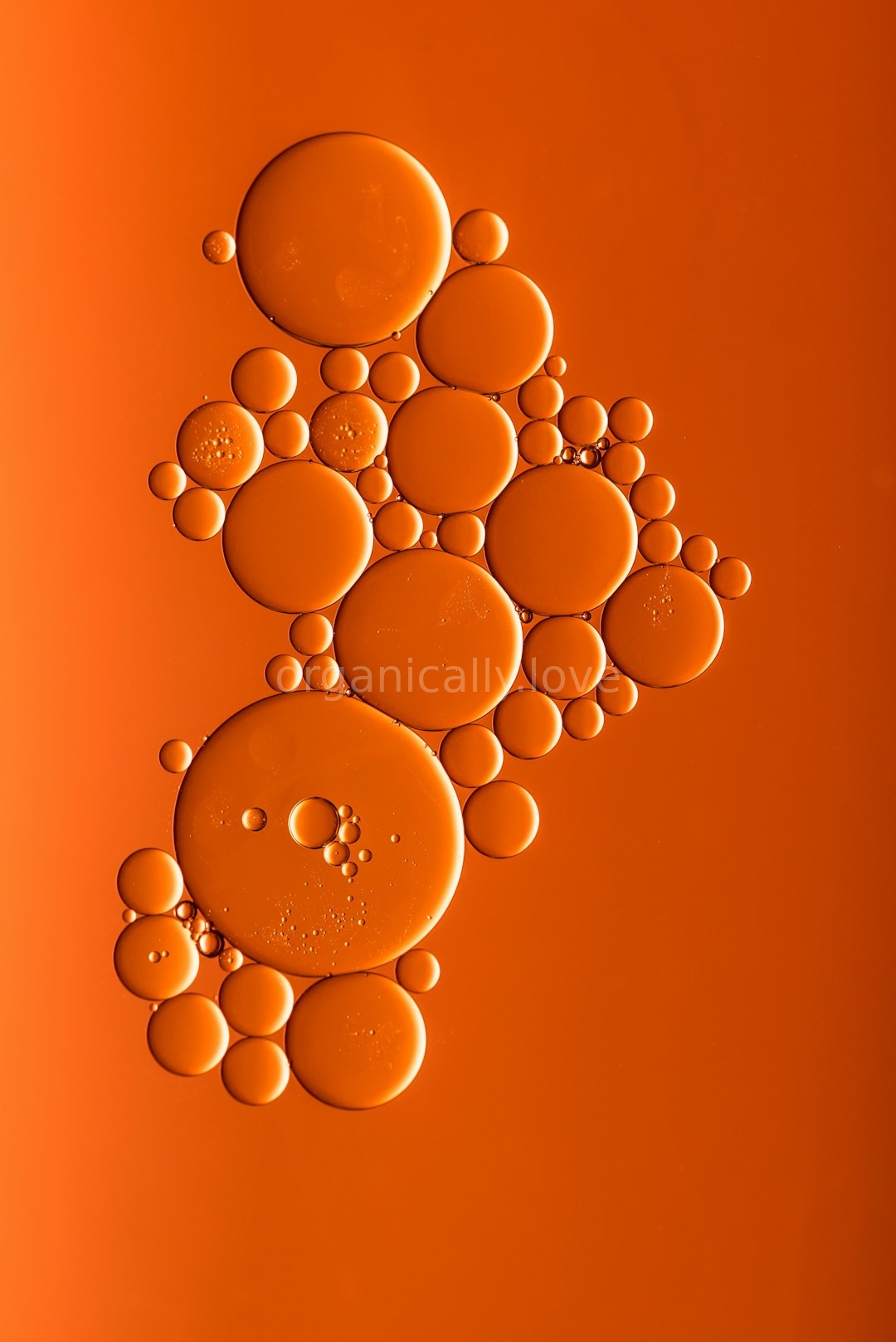 Reel 1