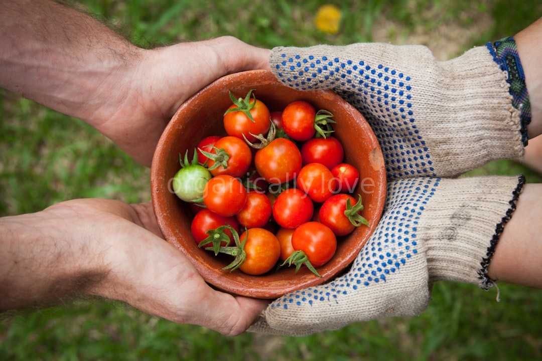 Organic Vegetables